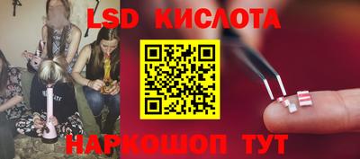 прущие грибы Можга
