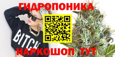 ALPHA PVP Моздок