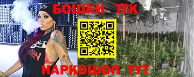 прущие грибы Можга