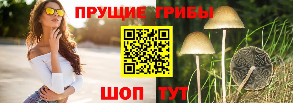 Псилоцибиновые грибы Psilocybe  закладка  Златоуст  Вход с VPN 