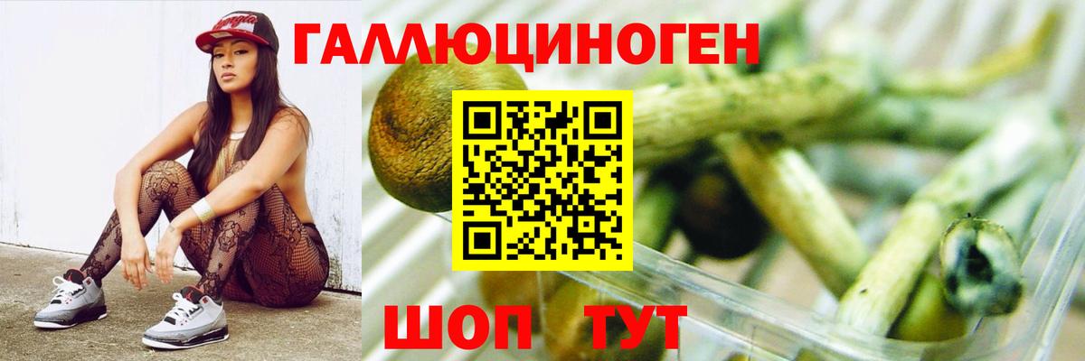 Галлюциногенные грибы GOLDEN TEACHER Златоуст