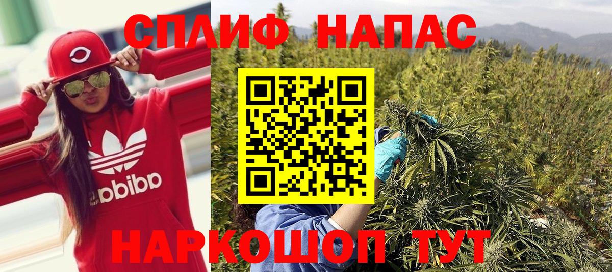 Конопля планчик Златоуст